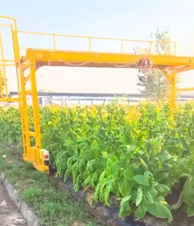 植物生长检测系统龙门吊